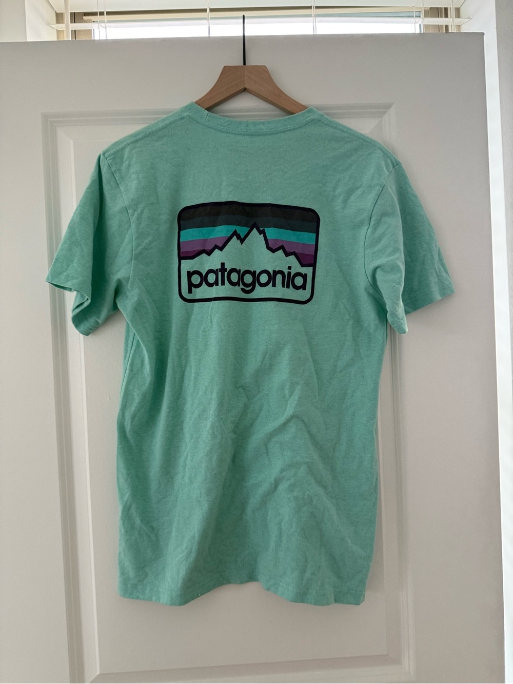 Patagonia Graphic Tee